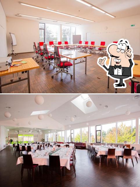 Verrückte Kocherei
