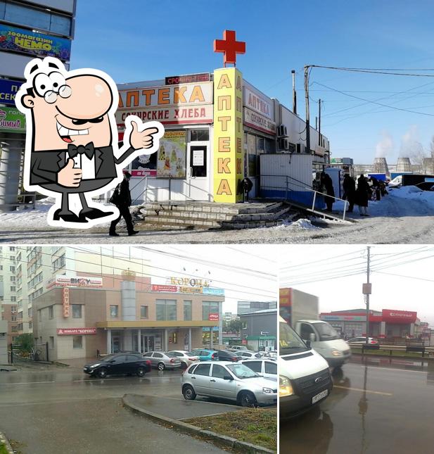 Сокурские Хлеба
