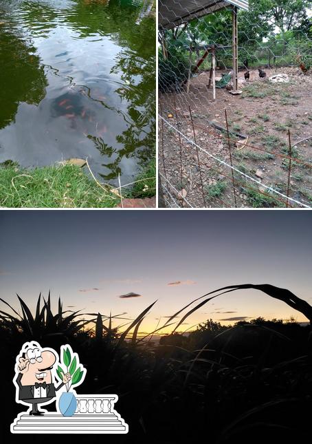 Granja MALU