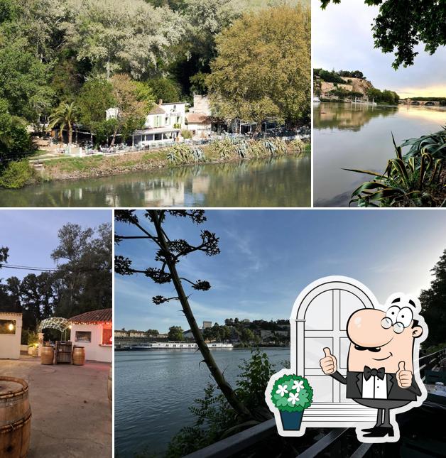Le Bercail Avignon