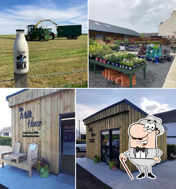 The Coo Shed