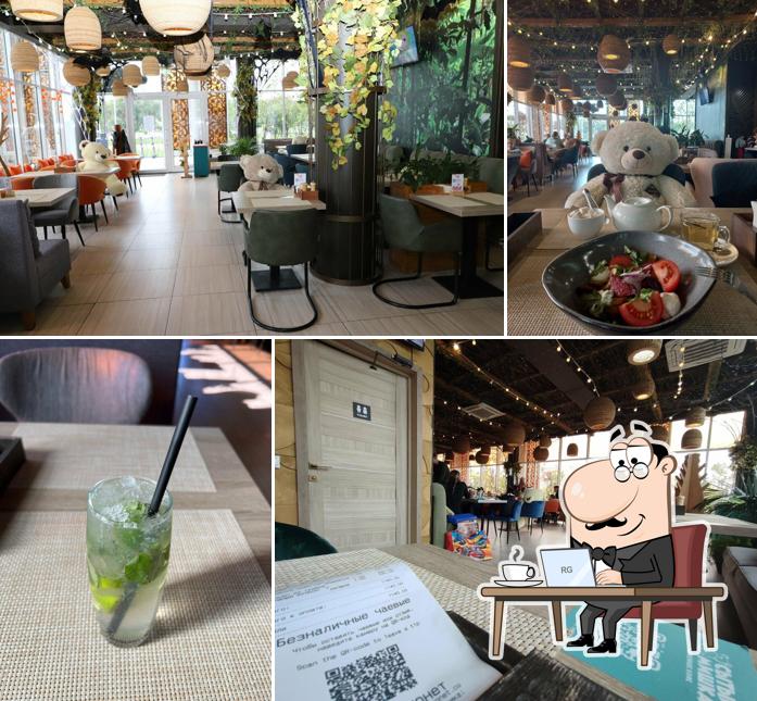 Сытый Мишка