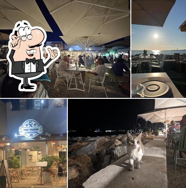 DRY PAROS