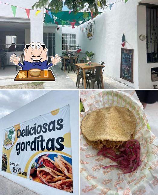Las Ranitas Gorditas Laguneras