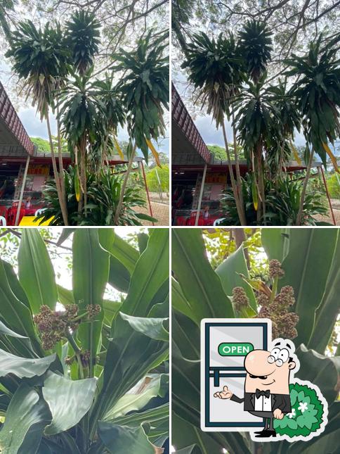 Coconut Bay