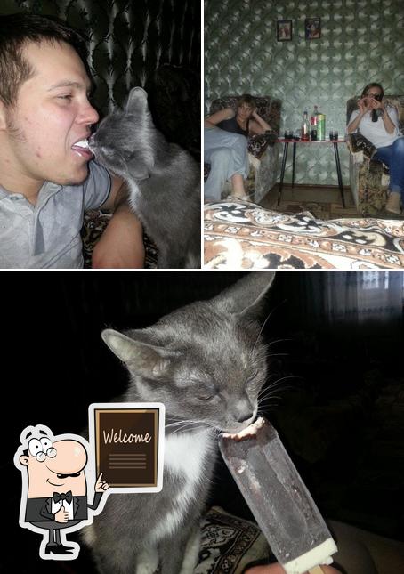 У катэши
