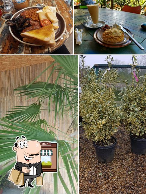 Jungle Tea Room