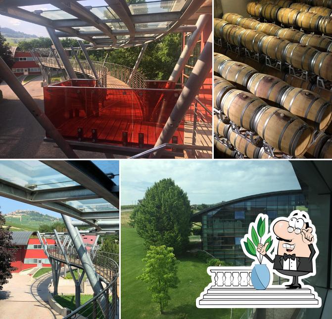 Vite Colte Enoteca Bistrò