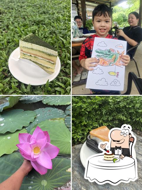 สวนตาฉิน Tachin Garden & cafeท่าช้าง สิงห์บุรี