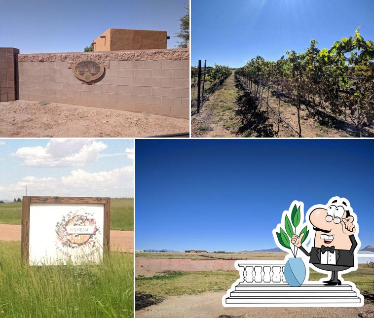 Wilhelm Family Vineyards