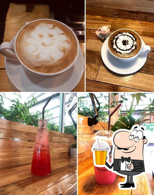 PURRING CAFE & Resort