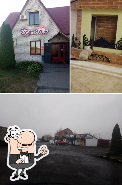 Гурман