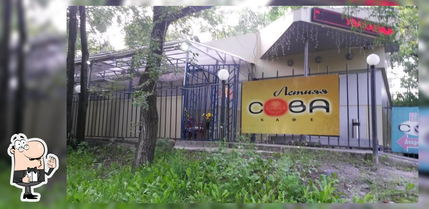 Летняя Сова
