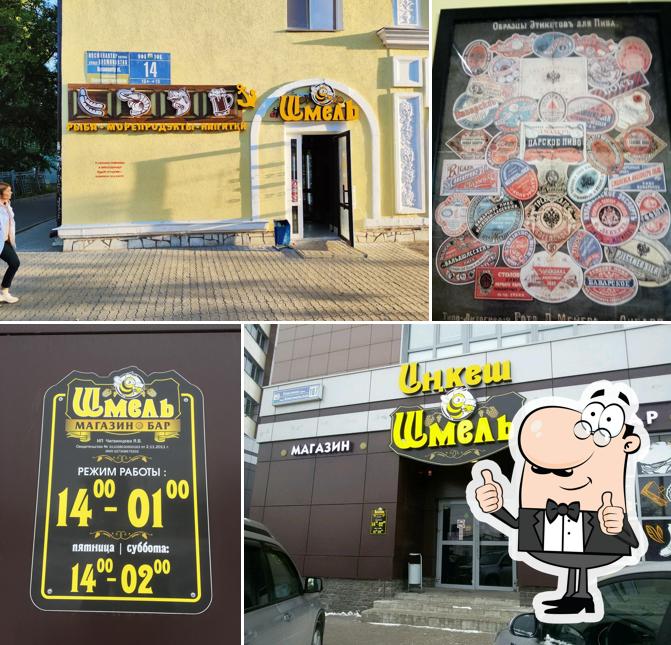 Шмель