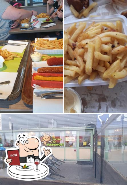 Friethuis De Mammoet