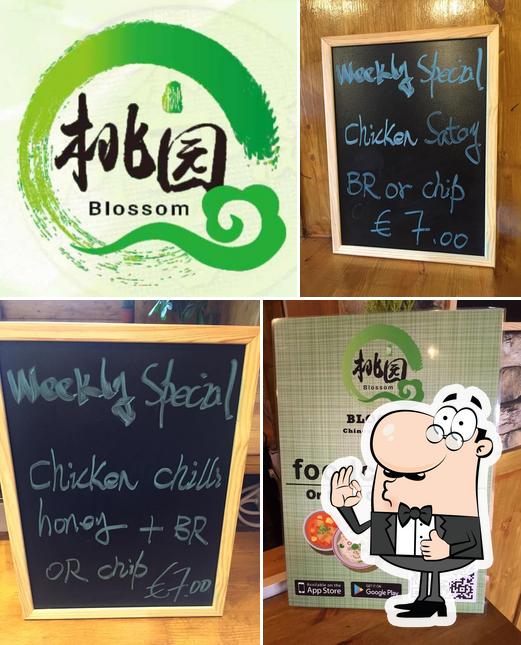 Blossom Chinese Takeaway