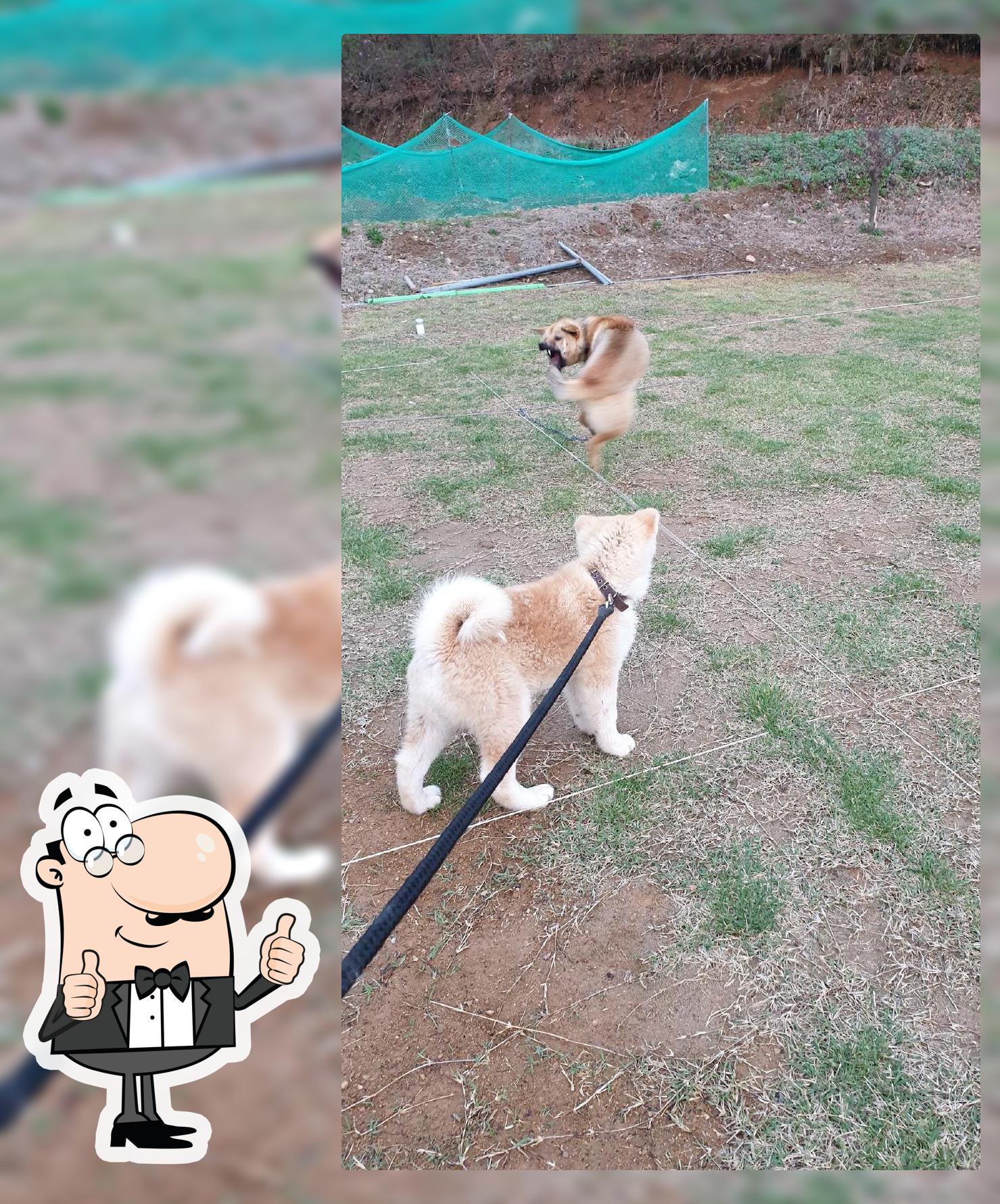 암닭골 한씨네