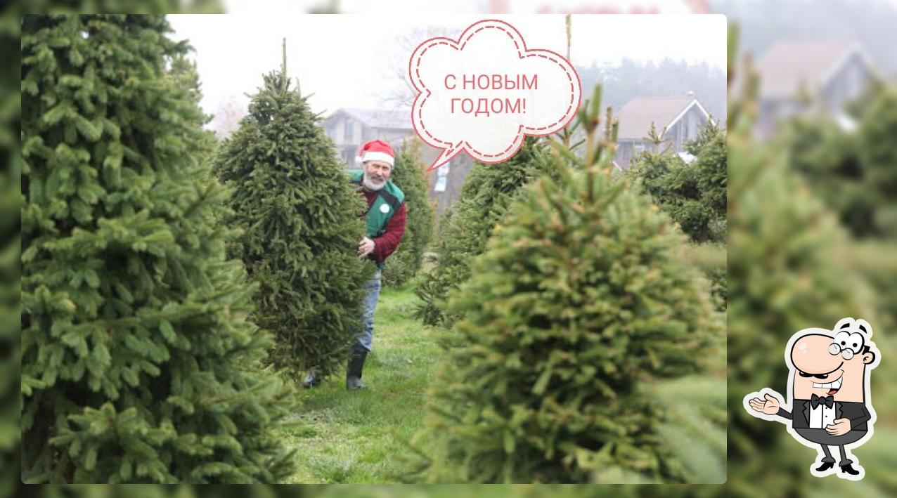 Снежинка