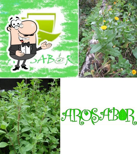 Arosabor Simijaca