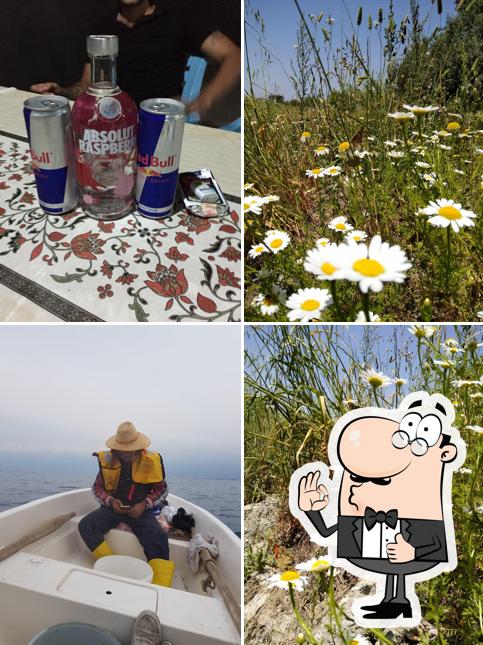 Zeytinaltı Balıkekmek
