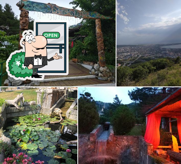 Ферма ГастроПаб