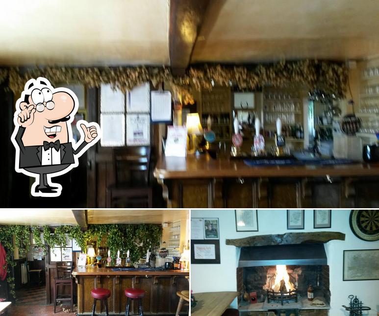 The Bruce Arms - Pub and Campsite