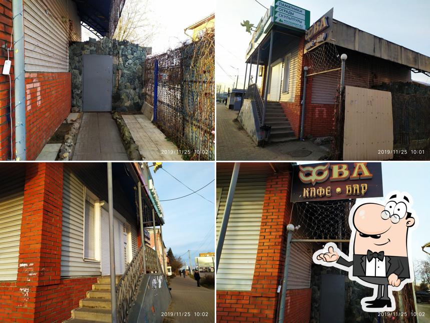 Сова