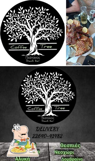 Coffee Tree Xironomi