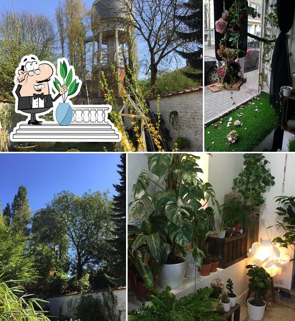 The Little Green Shop