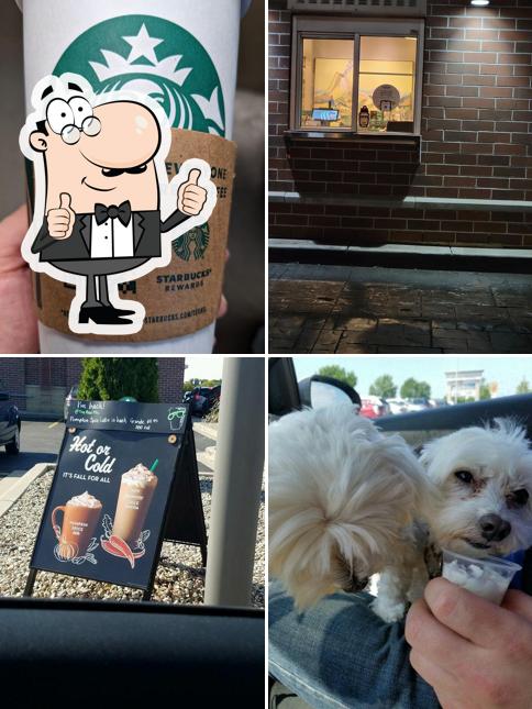 Starbucks Coffee Company