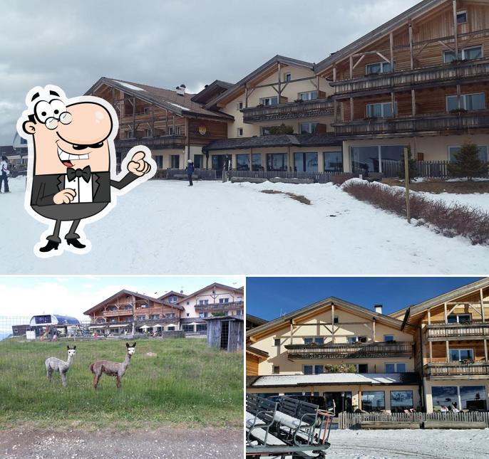 Alpenhotel Panorama