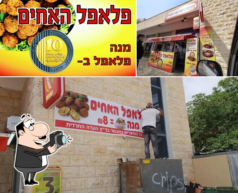 פלאפל האחים