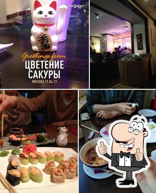 Цветение сакуры