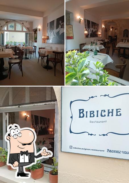 Bibiche Avignon