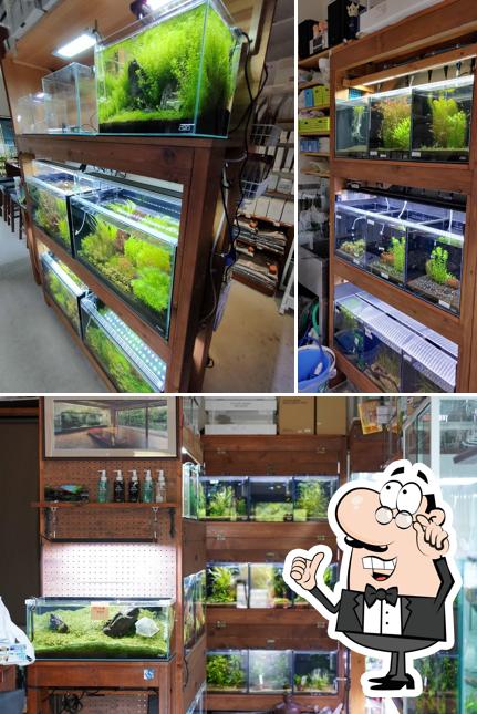 Aquarium Bono