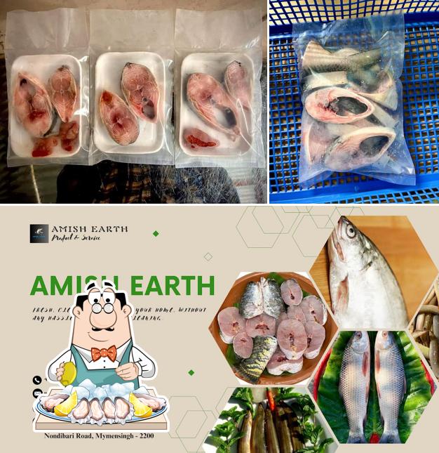 Amish Earth