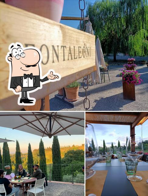 Fontaleoni