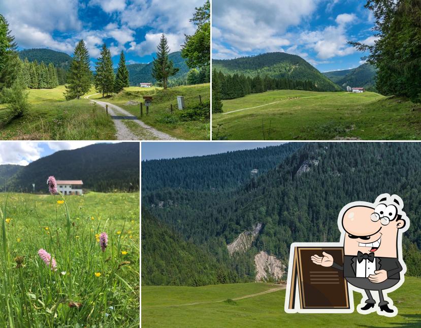 Knogleralm