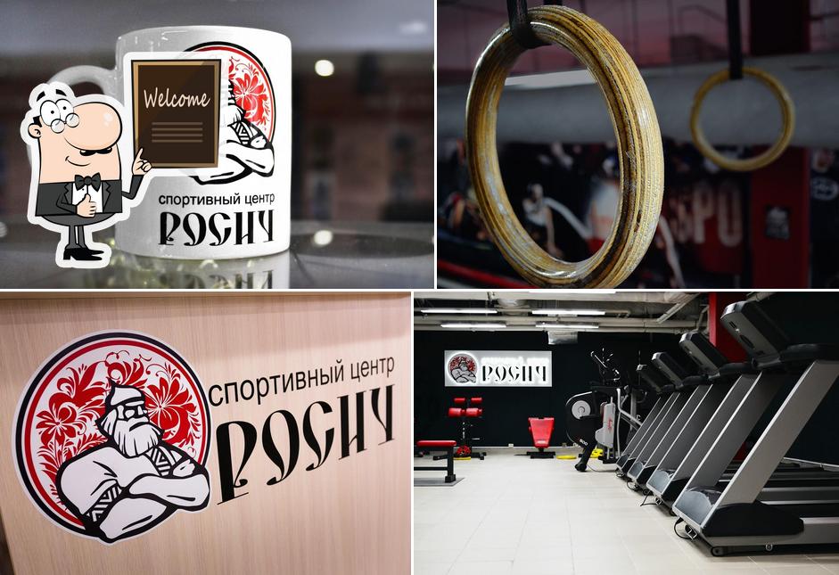Росич
