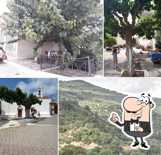 Snack Bar Αθηνά