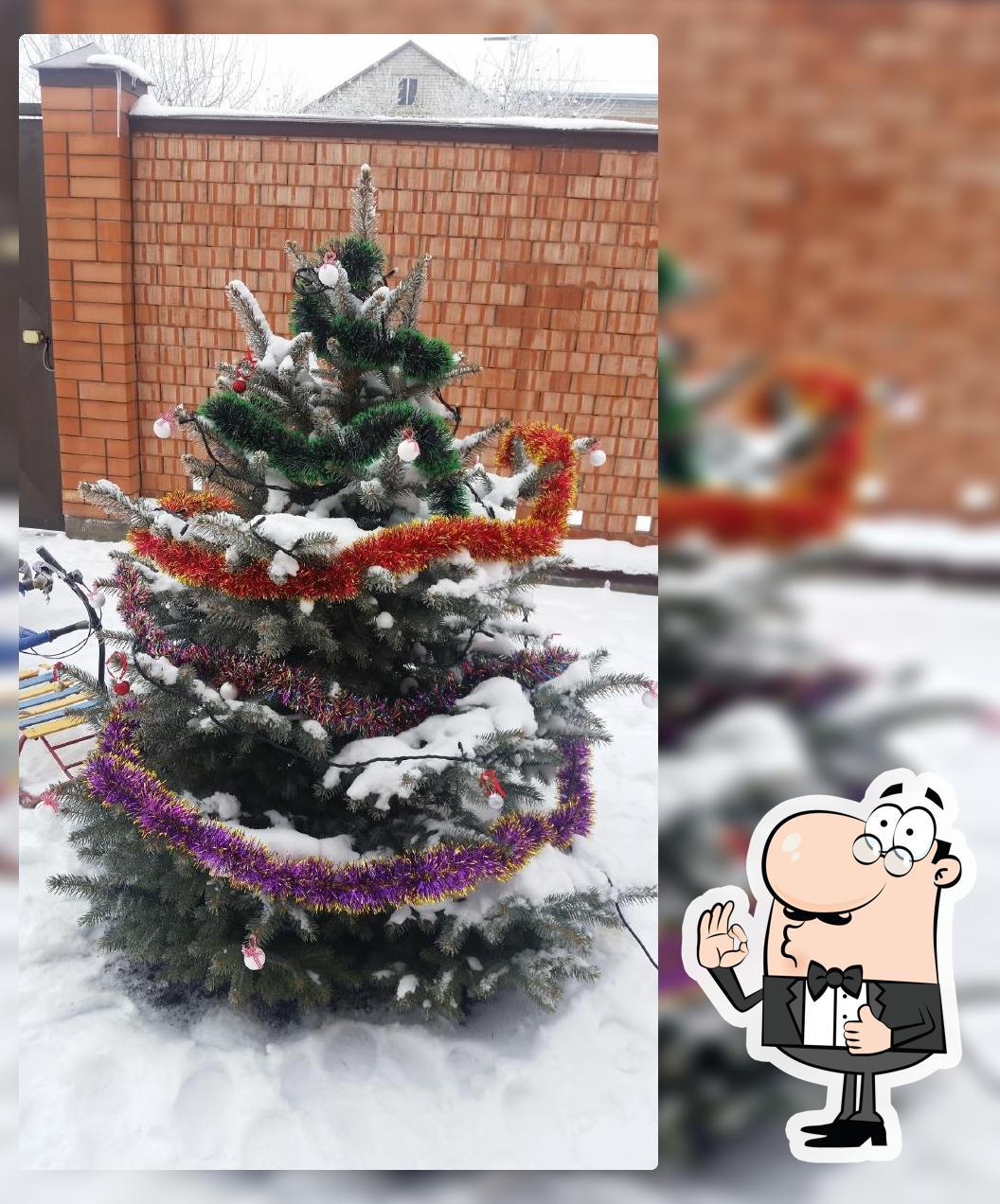 Родник, Бар