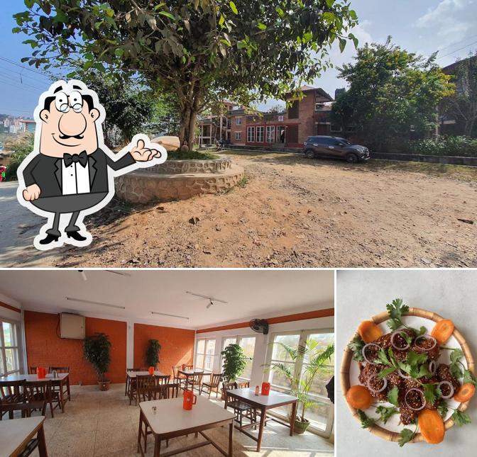 Gamya Plants Kitchen & Cafe