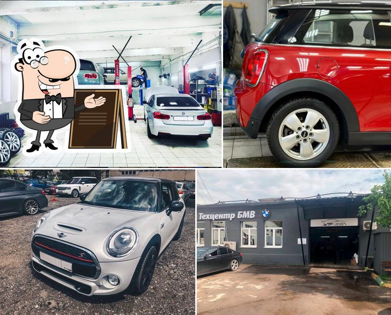 Mini W. T. F