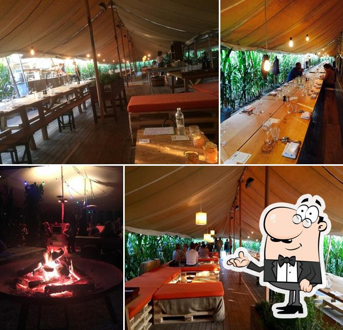 Volta. Summer Brewing camp