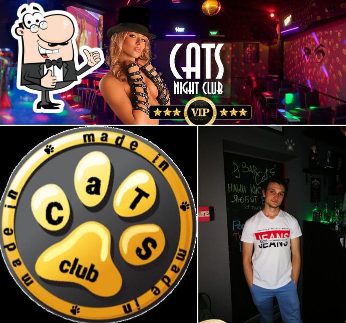 Dj Bar "CATS" (Бар "КОШКИ)