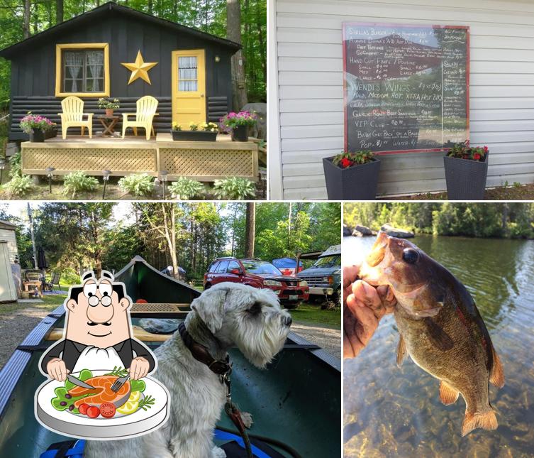 Stella's Getaway