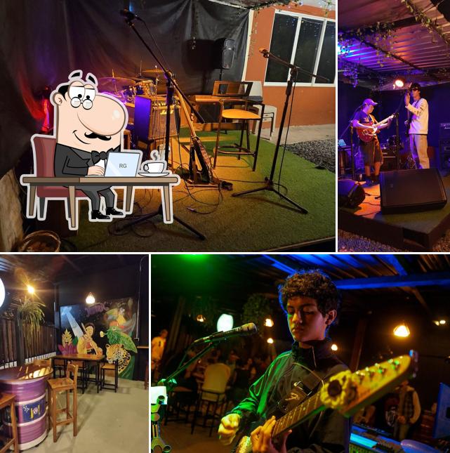 Hendrix Cerveza Artesanal