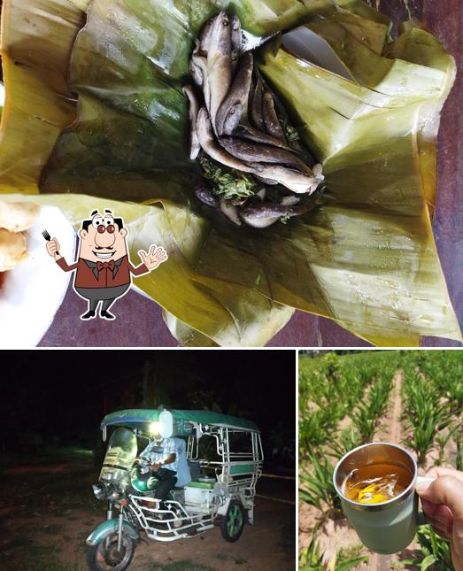 ธนณัฏฐ์ ฟาร์ม ออร์แกนิค