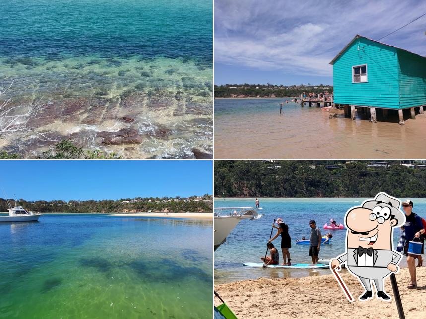 Mitchies Jetty