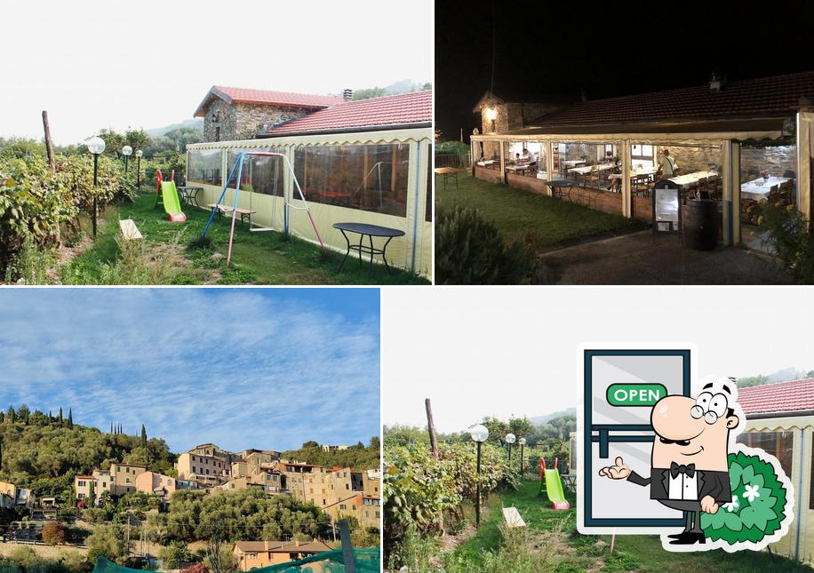 Il Vigneto Pizza e Cucina
